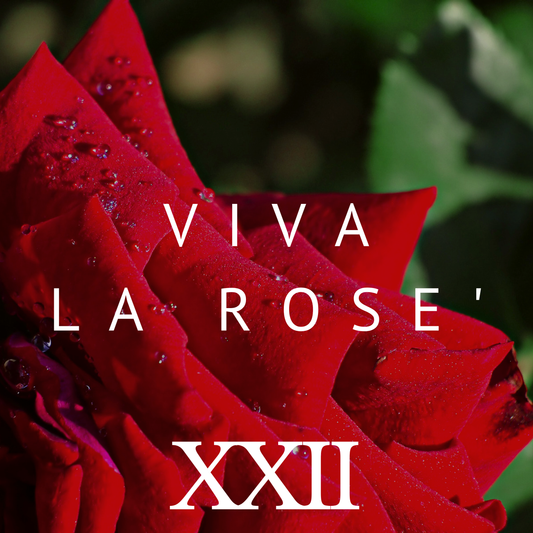 Viva La Rose